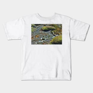 River Dart at Dartmeet Dartmoor. Kids T-Shirt